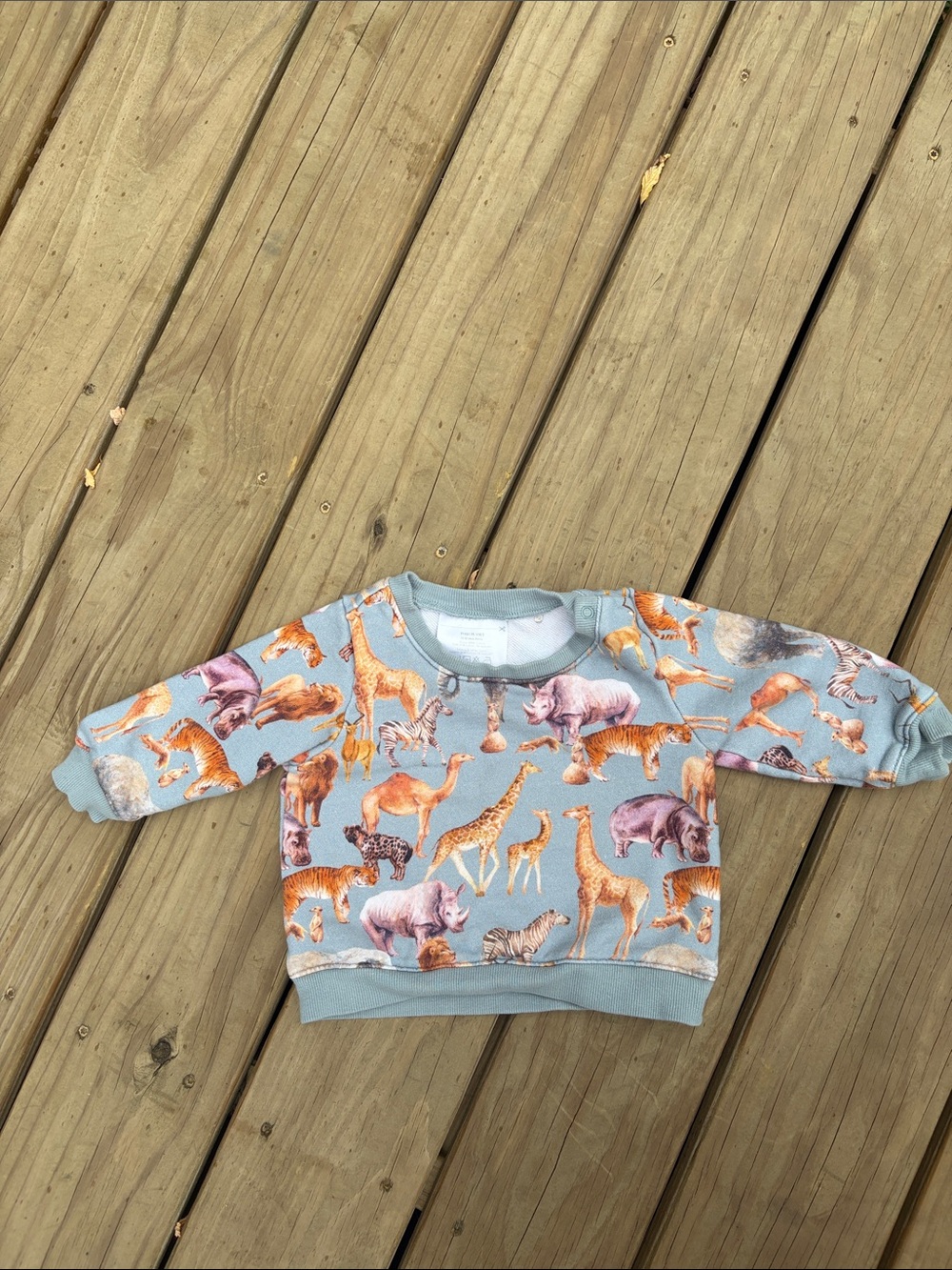 Posh Peanut Light Blue Animal Print Pullover Sweatshirt
